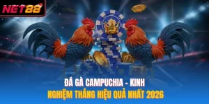 Đá Gà Campuchia – Kinh Nghiệm Thắng NET88 Hiệu Quả Nhất 2026
