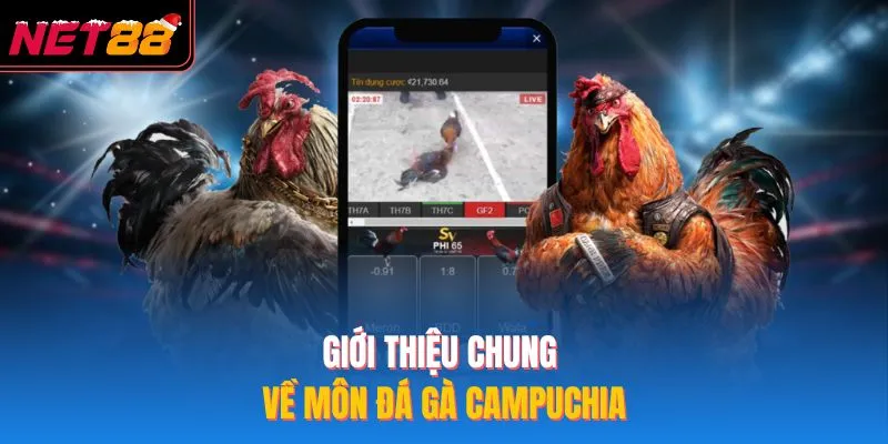 Giới thiệu chung về môn đá gà campuchia