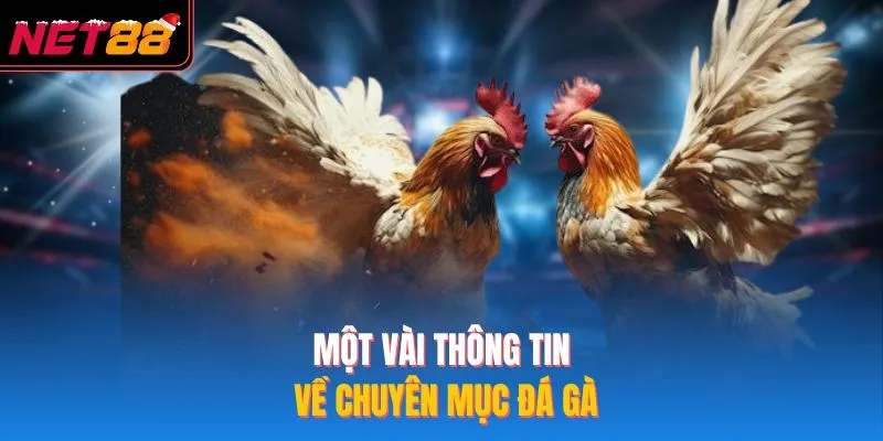 Một vài thông tin về chuyên mục đá gà
