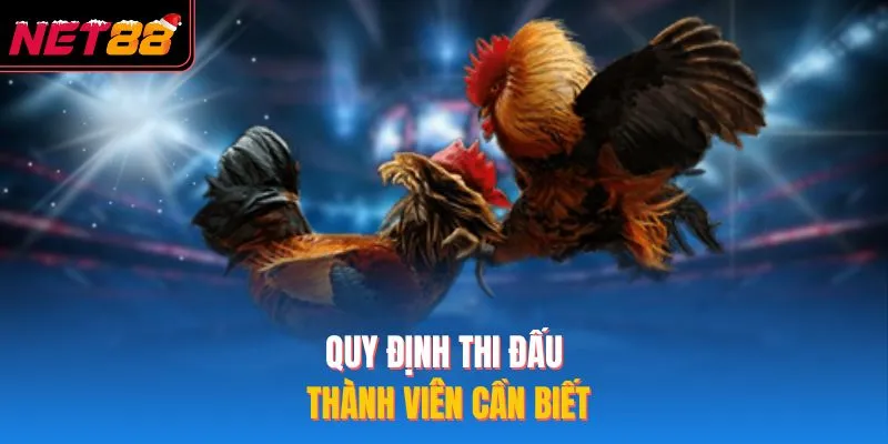 Quy định thi đấu thành viên cần biết