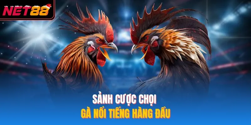 Sảnh cược chọi gà nổi tiếng hàng đầu