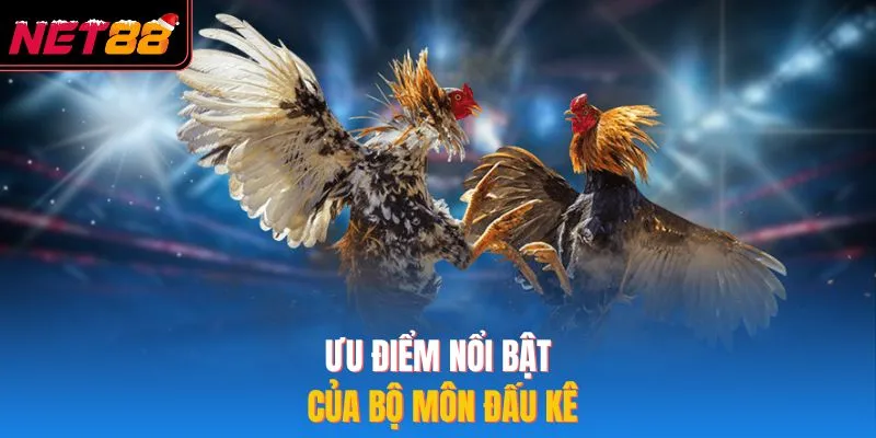 Ưu điểm nổi bật của bộ môn đấu kê